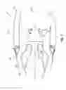 Fig. 02 - Actuator system for a mobile panel of a nacelle of a turbojet