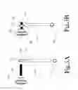 Fig. 05 - Adjustable accessory bracket assembly