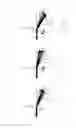 Fig. 02 - Scanning microscope