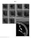 Fig. 05 - Optical barrier to pests