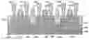 Fig. 01 - N-well/P-well strap structures