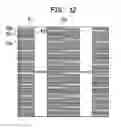 Fig. 09 - Stacked assembly including plurality of stacked microelectronic elements