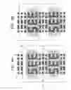 Fig. 05 - Semiconductor package having main stamp and sub-stamp