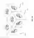 Fig. 27 - Interconnectible building elements for intellectual challenge games