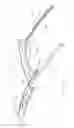 Fig. 04 - Spoiler for rear hatch closure assembly