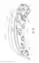 Fig. 10 - Spoiler for rear hatch closure assembly