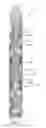 Fig. 02 - OIL COMPOSITION COMPRISING FUNCTIONALIZED NANOPARTICLES