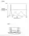 Fig. 03 - Light emitting apparatus and method for manufacturing thereof