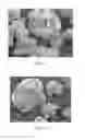 Fig. 02 - Phosphor blend and fluorescent lamp containing same