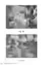 Fig. 04 - Phosphor blend and fluorescent lamp containing same