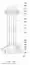 Fig. 13 - Light source device