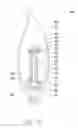 Fig. 16 - Light source device