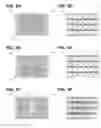 Fig. 09 - Electromagnetically-countered display systems and methods