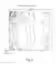 Fig. 09 - Spatial intensity correction for RF shading non-uniformities in MRI