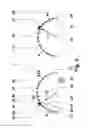 Fig. 03 - DISPLAY APPARATUS FOR A VEHICLE