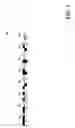 Fig. 18 - Creating and processing universal radar waveforms
