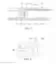 Fig. 03 - ELECTRONIC DEVICE HAVING ANTENNA PATTERN EMBEDDED IN CASE AND METHOD FOR MANUFACTURING THE SAME