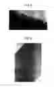 Fig. 05 - Transparent electroconductive laminate and transparent touch panel using the same