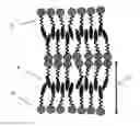 Fig. 01 - Wide temperature-range smectic liquid crystal materials