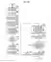 Fig. 27 - IMAGE PROCESSING APPARATUS, IMAGE PROCESSING METHOD, AND PROGRAM