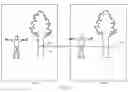 Fig. 10 - Autofocus for stereo images