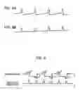 Fig. 06 - Electro-optic device and stereoscopic vision display apparatus