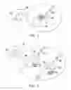 Fig. 02 - Viewing glasses, 3D display system and image beam adjustment method thereof