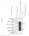 Fig. 12 - Stimulated lighting devices