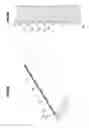 Fig. 07 - BACKLIGHT UNIT