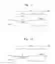 Fig. 11 - Charge trap flash memory device and an erasing method thereof