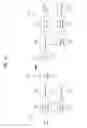 Fig. 52 - Reference signal transmitting method
