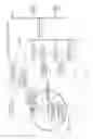 Fig. 02 - X-ray computed tomography apparatus and X-ray diagnostic apparatus
