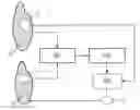 Fig. 01 - Quantification of medical image data