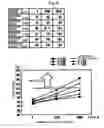Fig. 07 - Image forming apparatus with different pressing forces between image carriers and developer carriers