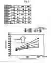 Fig. 08 - Image forming apparatus with different pressing forces between image carriers and developer carriers