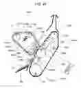 Fig. 49 - Image forming apparatus and fixing device