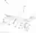 Fig. 01 - Modular transport apparatus