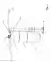 Fig. 02 - Suction gripper for pet bottles