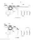 Fig. 09 - Seal assembly