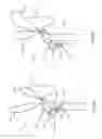 Fig. 04 - Harnessing Flowing Fluids to Create Torque
