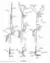 Fig. 05 - Harnessing Flowing Fluids to Create Torque