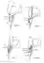 Fig. 08 - Harnessing Flowing Fluids to Create Torque