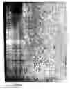 Fig. 01 - Filmy graphite and process for producing the same