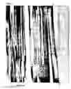 Fig. 07 - Filmy graphite and process for producing the same