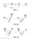 Fig. 03 - PRETARGETING KIT, METHOD AND AGENTS USED THEREIN