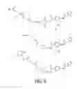 Fig. 06 - PRETARGETING KIT, METHOD AND AGENTS USED THEREIN