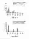 Fig. 11 - PRETARGETING KIT, METHOD AND AGENTS USED THEREIN