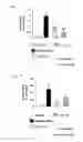 Fig. 03 - AMELIORATING AGENT FOR CHRONIC OBSTRUCTIVE PULMONARY DISEASE