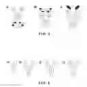 Fig. 02 - EFGR antibodies comprising modular recognition domains
