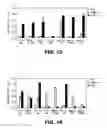 Fig. 09 - EFGR antibodies comprising modular recognition domains